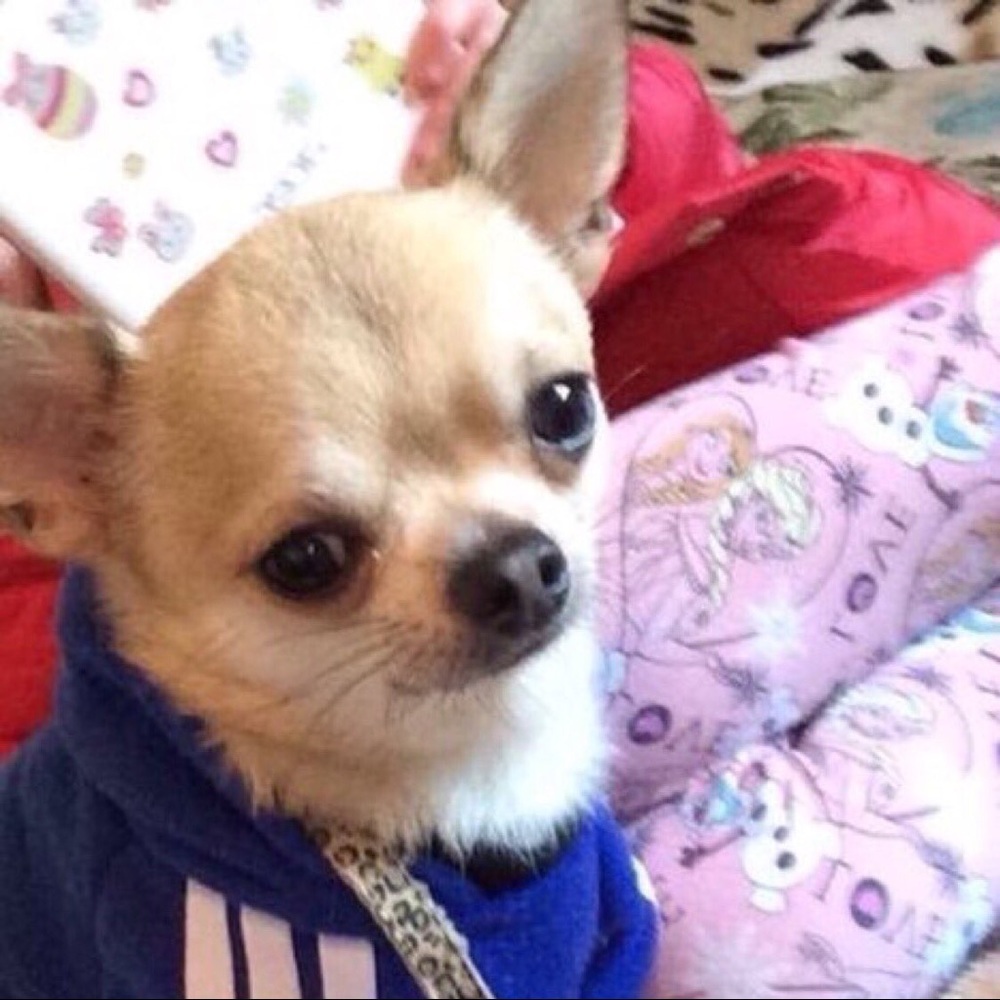 Meet your Posher, Enaas